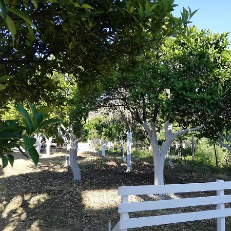 Manavita